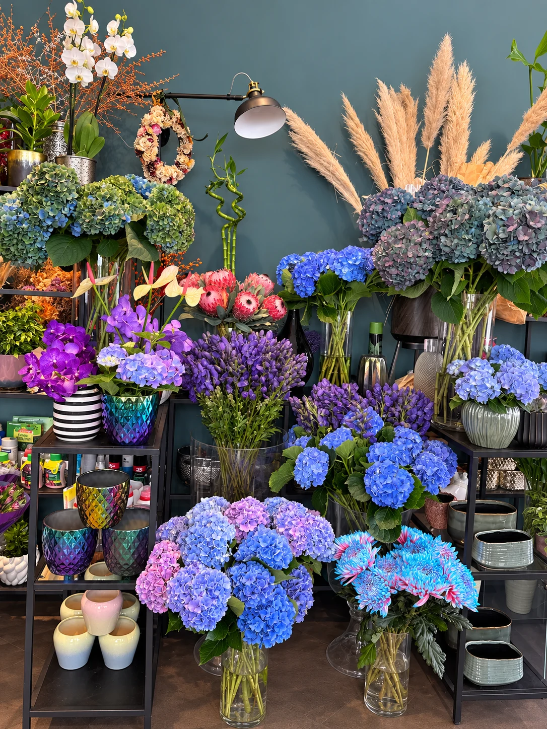 Blaue Hortensien, Orchideen und Protea an unserer Blumenwand