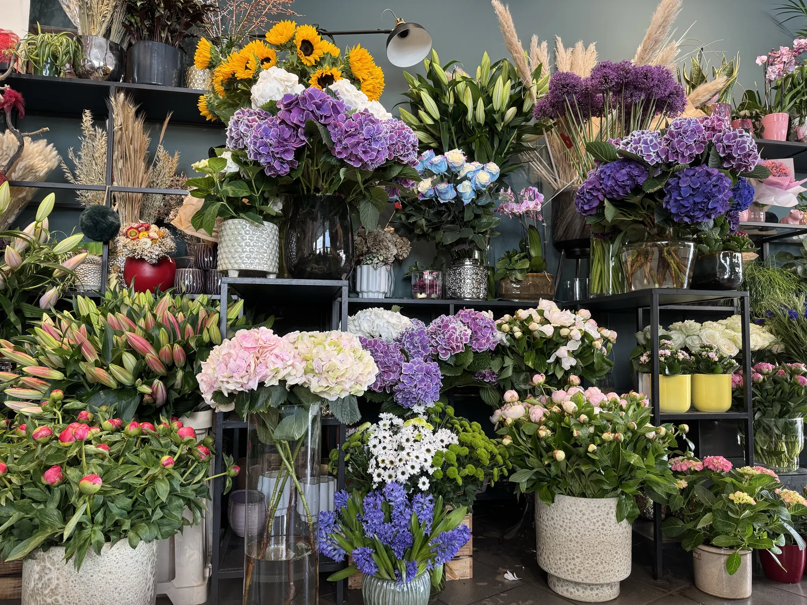 Blick in unseren Blumenladen mit Hortensien, Lilien und Sonnenblumen