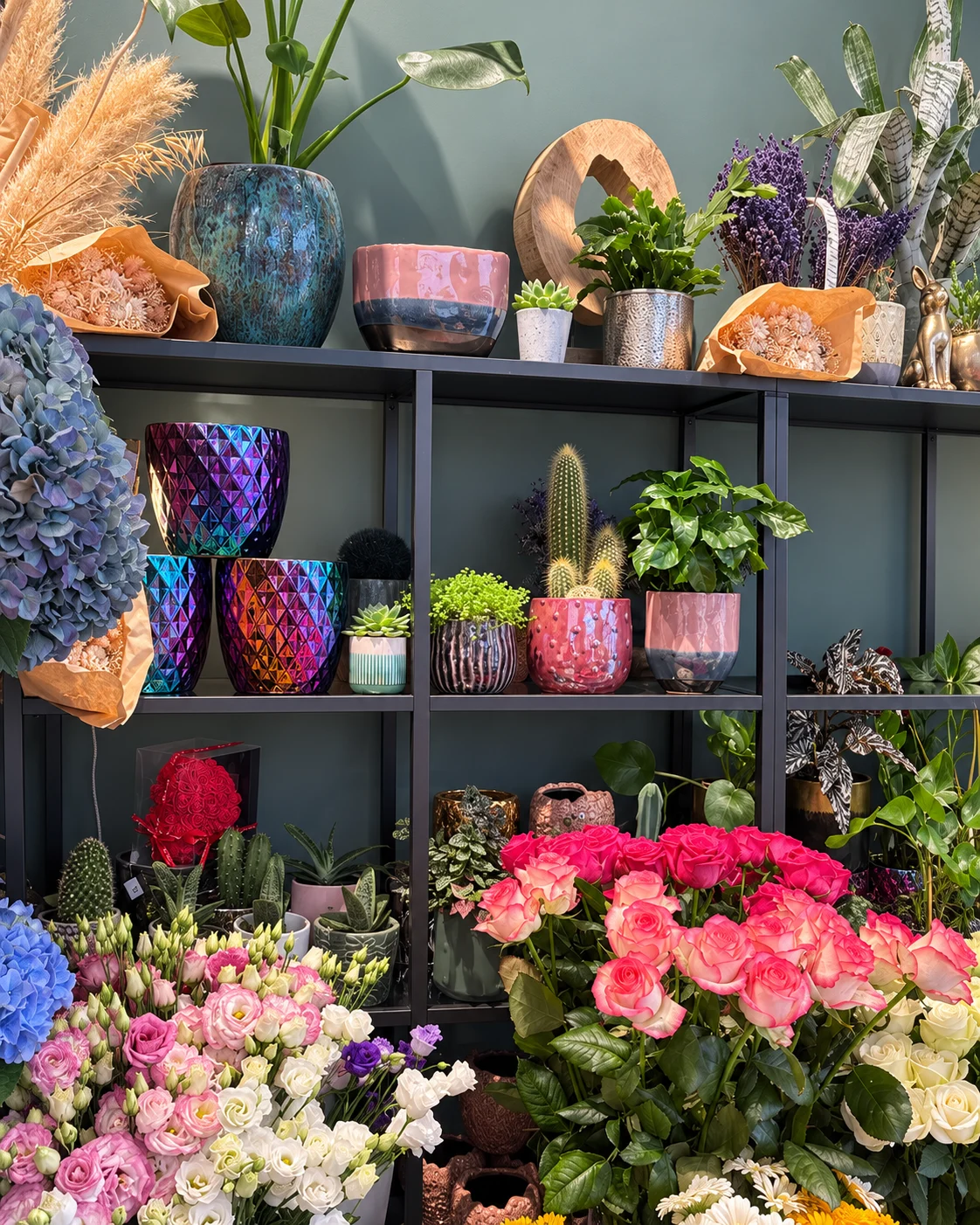 Pflanzen, dekorative Übertöpfe und Trockenblumen im Laden